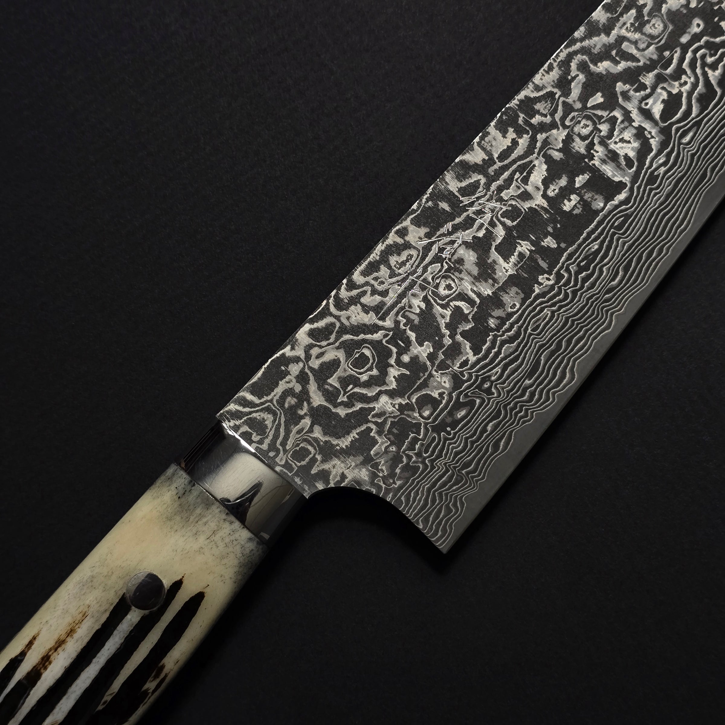 Takeshi Saji SG2 Black Damascus Gyuto 240mm Cow Bone Handle