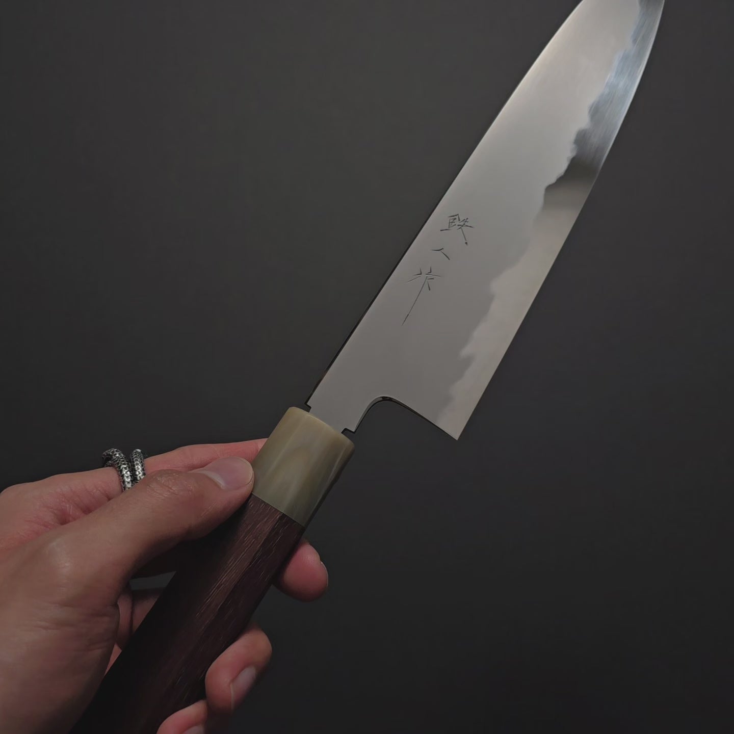 Tetsujin Blue #2 Kasumi Gyuto 240mm Ho Wood Handle
